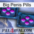 Big Penis Pills 03